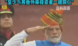 印度政府爆料视频大全集,真相与争议交织